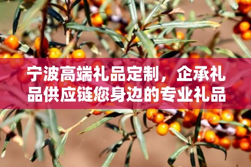 宁波高端礼品定制，企承礼品供应链您身边的专业礼品定制公司