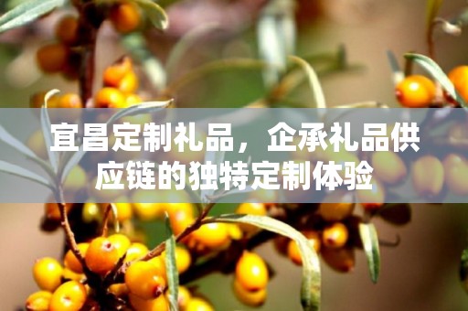 宜昌定制礼品，企承礼品供应链的独特定制体验