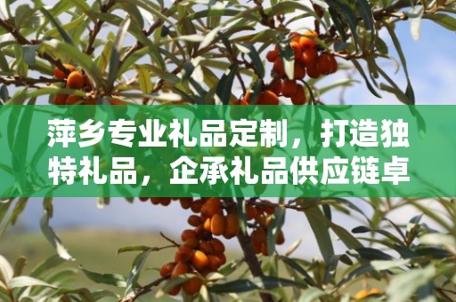 萍乡专业礼品定制，打造独特礼品，企承礼品供应链卓越服务