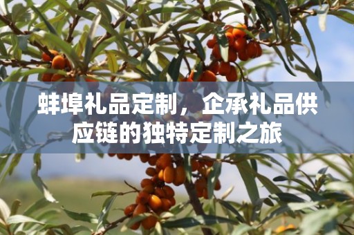 蚌埠礼品定制，企承礼品供应链的独特定制之旅
